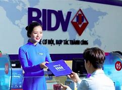 Bidv Tuyển Dụng Nhân Viên Tín Dụng