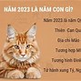 Bố Mậu Thìn Mẹ Kỷ Tỵ Sinh Con Năm 2024