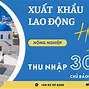 Công Ty Xklđ Vinacom 360 Vn Hà Nội Reviews Email Address